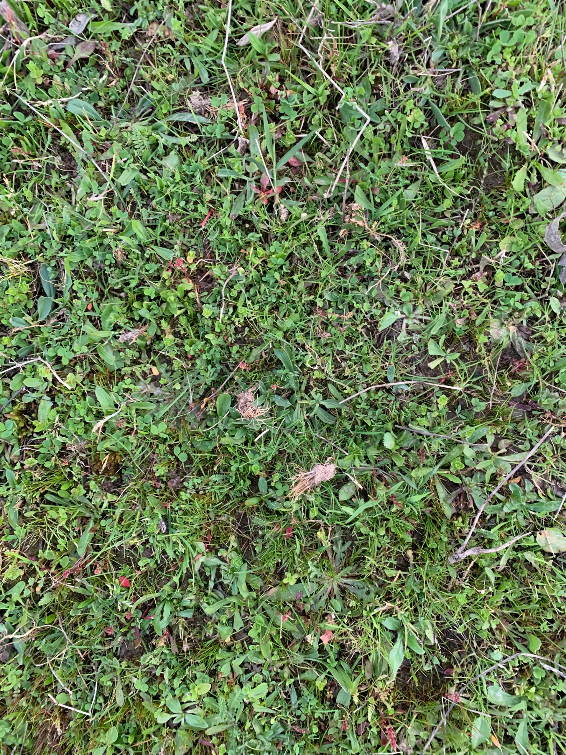 medio ambiente 3