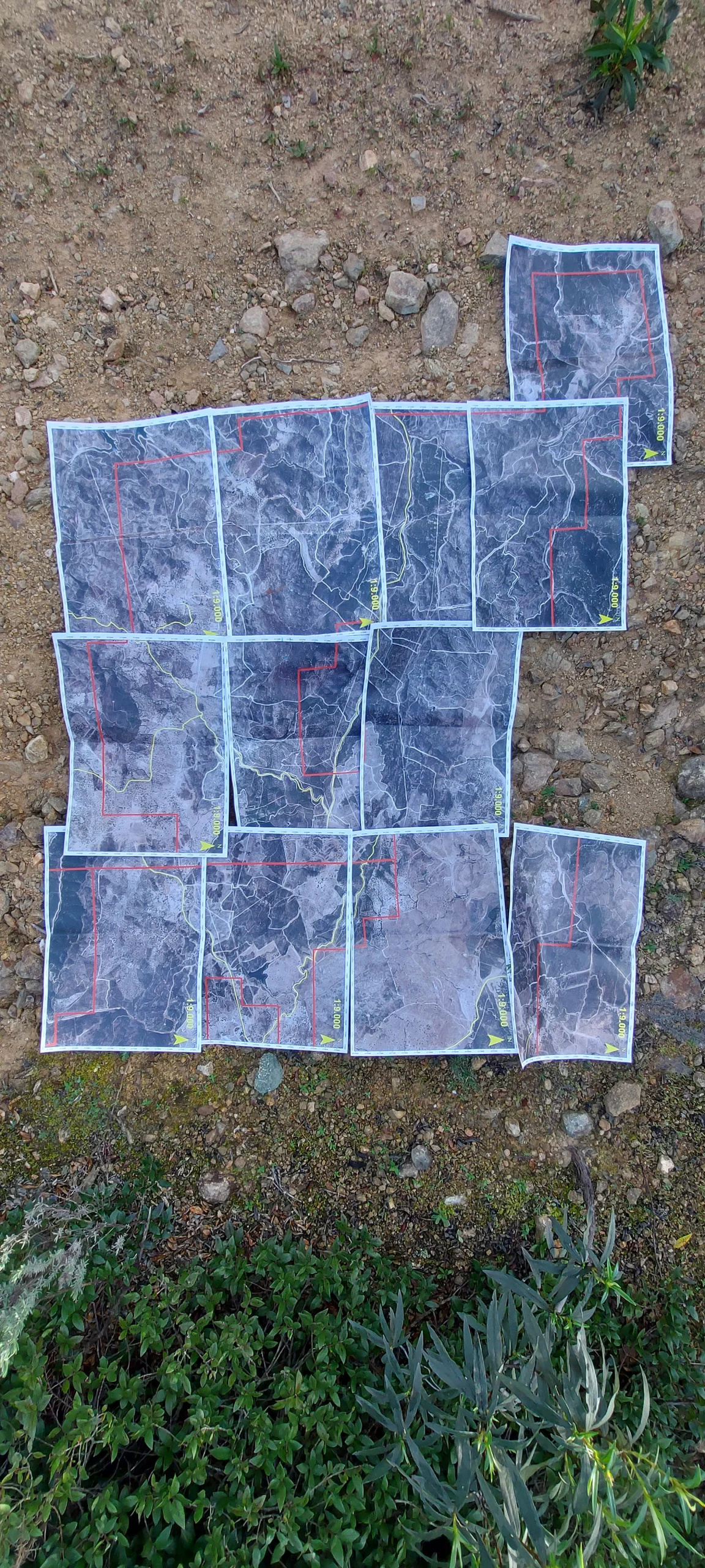 proyecto cartografia